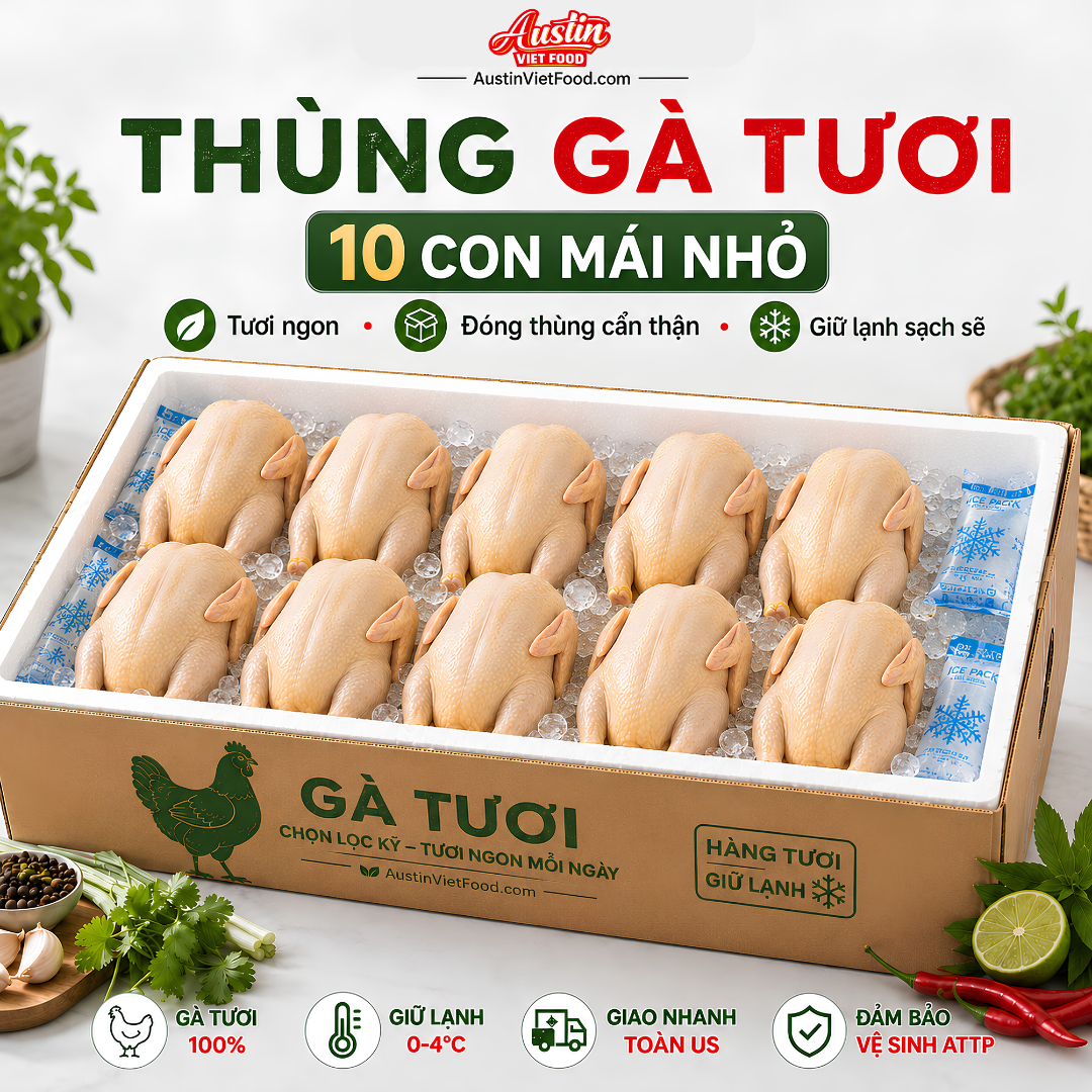 Thùng 10 Gà Mái Nhỏ – Fresh Chicken Box