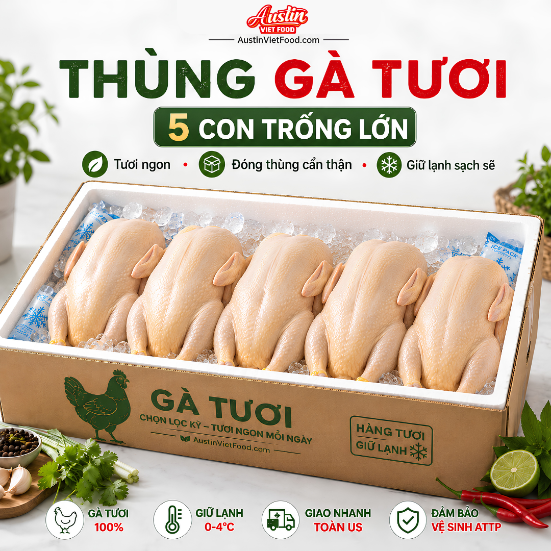 Thùng 5 Gà Tươi Trống Lớn – Fresh Chicken Box